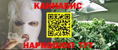 шишки Свободный