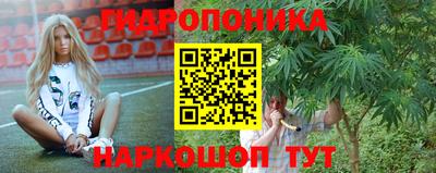 шишки Свободный