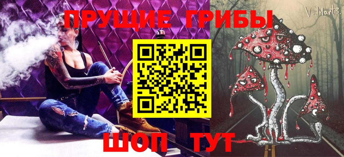 Галлюциногенные грибы Cubensis  Вход с VPN  Кинешма 